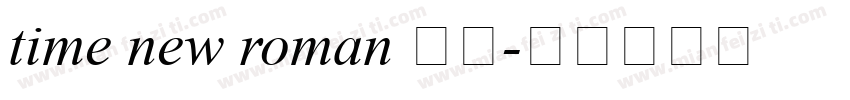 time new roman 字体字体转换